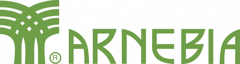 Арнебия