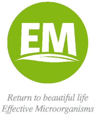 EVERMIRACLE
