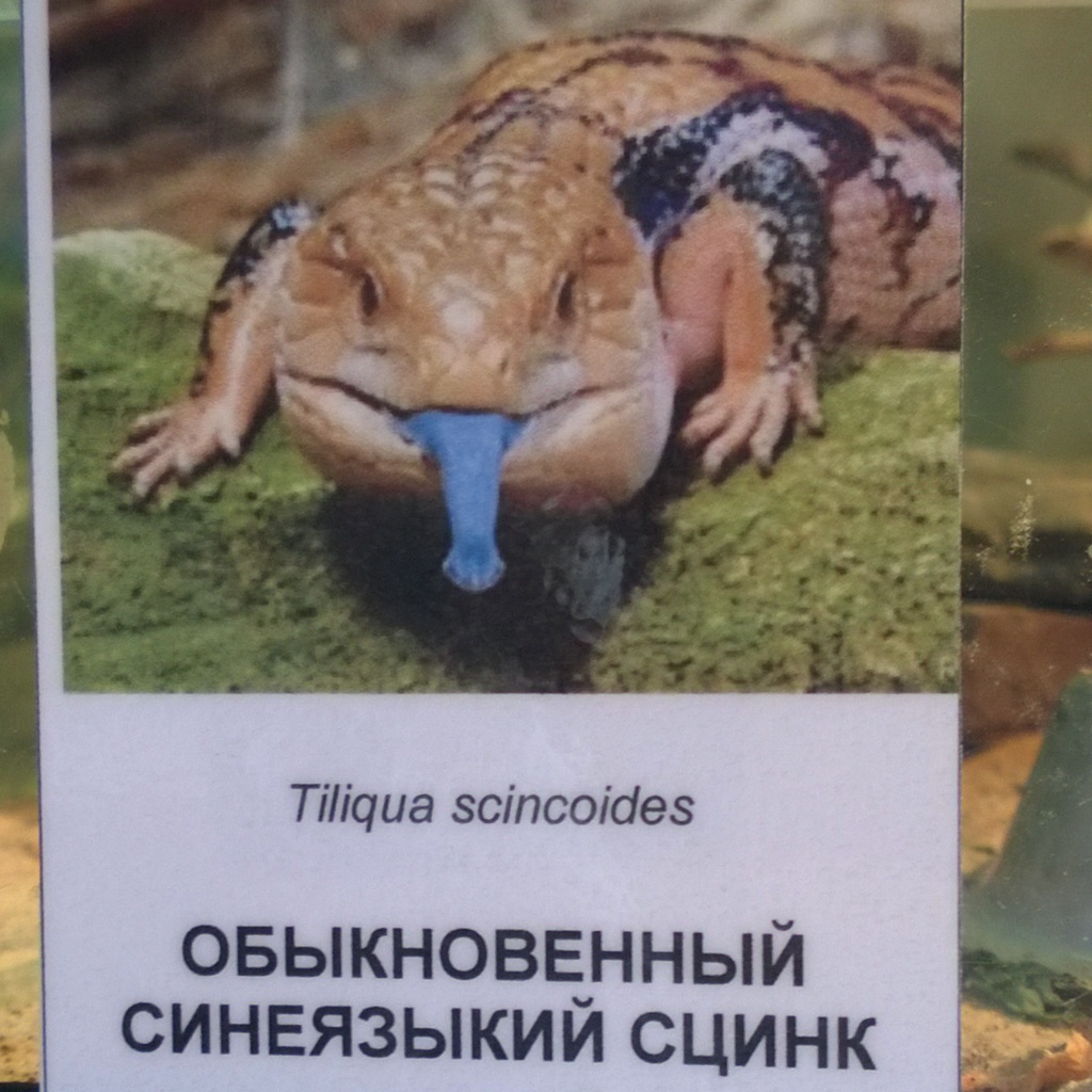 6tag_110515-123702.jpg